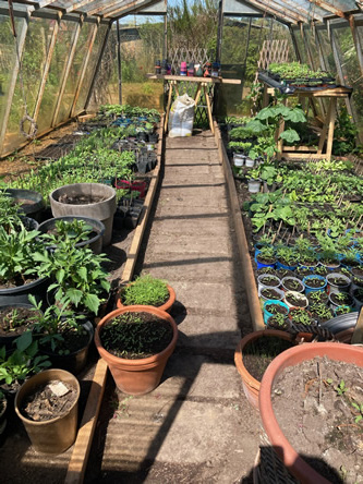 Offene Gärten Berlin-Brandenburg - Open Gardens