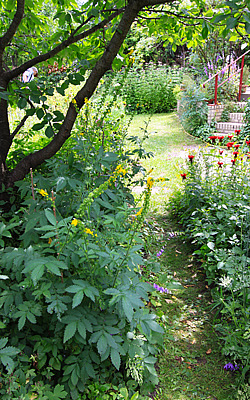 Offene Gärten Berlin-Brandenburg - Open Gardens